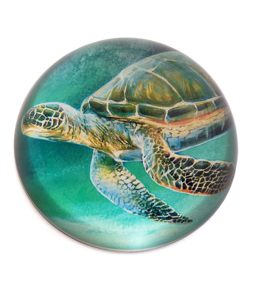 Green Sea Turtle Crystal Dome Paper Weight