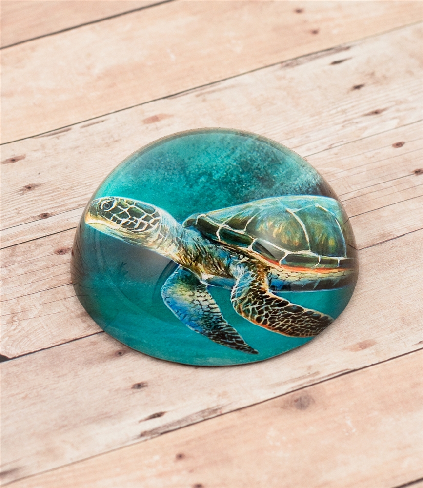 Green Sea Turtle Crystal Dome Paper Weight